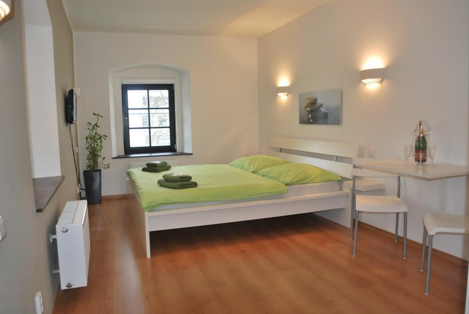 Pension N.10 Frymburk Room photo